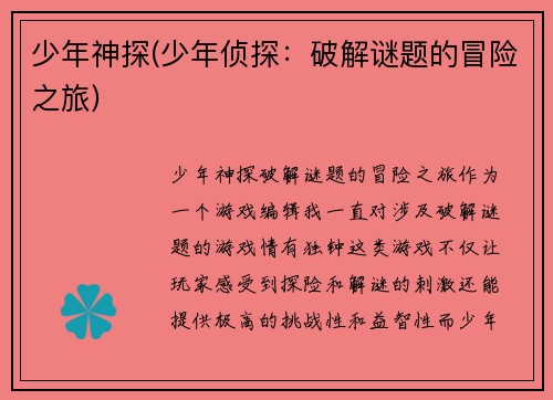 少年神探(少年侦探：破解谜题的冒险之旅)